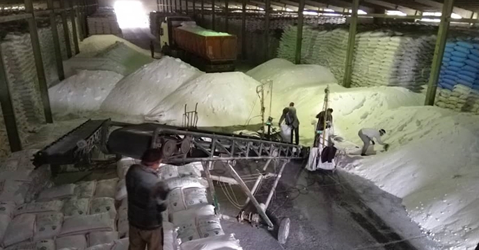 عملیات کیسه گیری کود شیمیایی اوره فله در شرکت خدمات حمایتی کشاورزی استان همدان