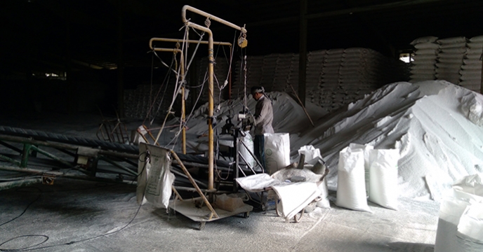 عملیات کیسه گیری 400 تن کود شیمیایی اوره فله در شرکت خدمات حمایتی کشاورزی استان همدان