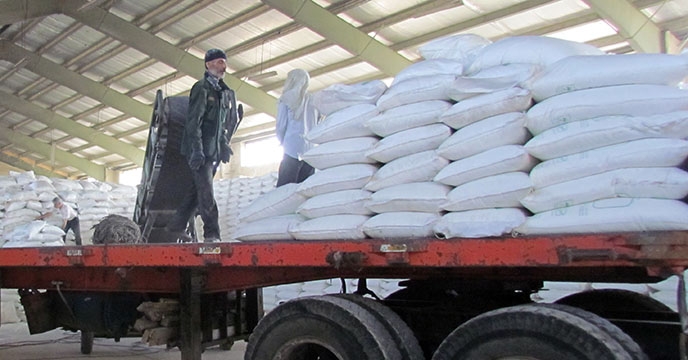 توزیع انواع کود شیمیایی از طریق کارگزاری وحدت خرمرود در شهرستان تویسرکان