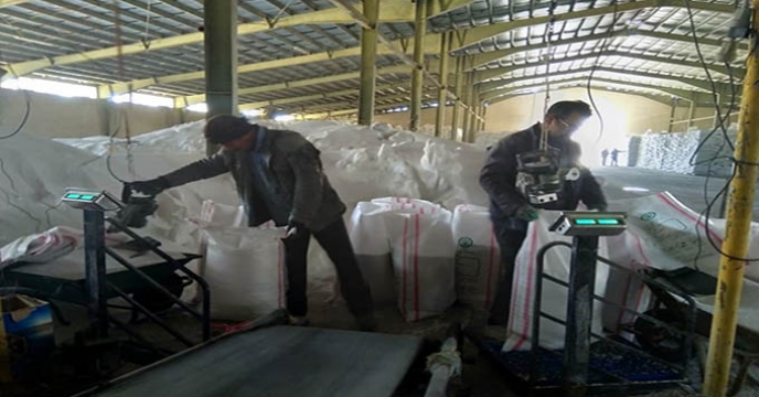 عملیات کیسه گیری کود شیمیایی اوره فله در شرکت خدمات حمایتی کشاورزی استان همدان