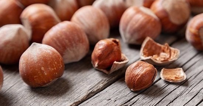 تامین  و جذب 308 تن کود در باغات فندق گیلان 