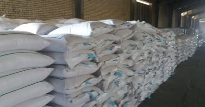 مقدار 24 تن بذور گندم در شهرستان بروجن توزیع شد.