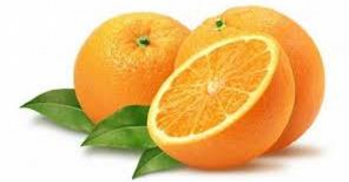 750هکتار مساحت باغات پرتقال در نور استان مازندران