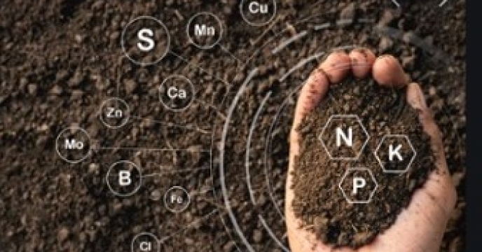 توصیه فنی " افزایش ماده آلی خاک و تاثیر بر فعالیت ریز جانداران خاک"