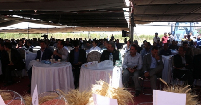 حضور نماینده محترم ولی فقیه در وزارت جهاد کشاورزی در  مراسم جشن شكر گزاری گندم (خرمانان ) استان کردستان