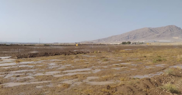 بازدید از مزرعه 11 هکتاری طرح پایلوت در شهرستان مرند استان آذربایجان شرقی