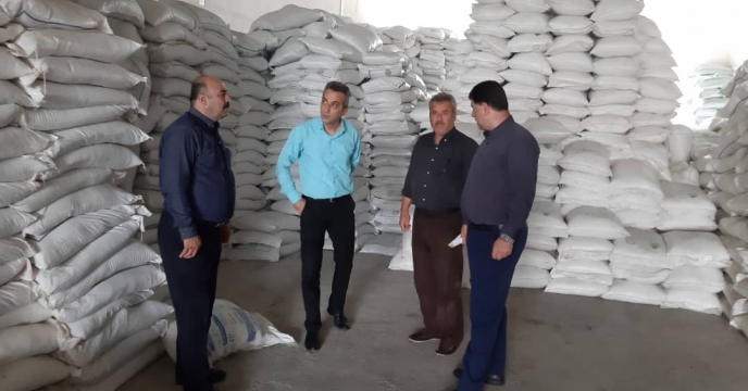بازدید دوره ای مدیر شرکت خدمات حمایتی کشاورزی از انبار کارگزاری ها شهرستان  آزادشهر  استان گلستان