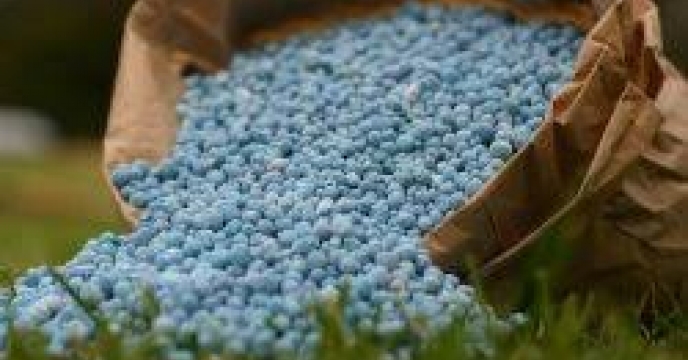 تا پایان خرداد ماه سال جاری مقدار تقریبی بیش از 4630تن کود کشاورزی ازت،فسفات،پتاس از سهمیه مصوب شرکت خدمات حمایتی کشاورزی استان گیلان بین کارگزاران در سطح شهرستان رشت توزیع شد