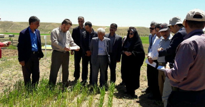 بازدید معاون وزیر جهاد کشاورزی از مزارع پروژه ایران سیمیت در استان قزوین