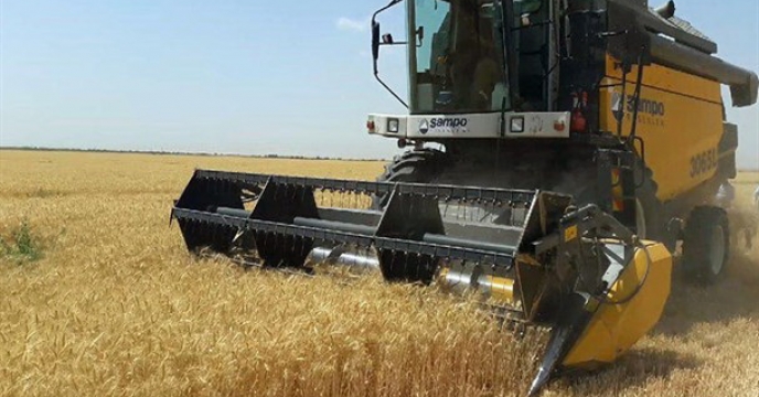 افزایش تولید گندم در استان خراسان شمالی