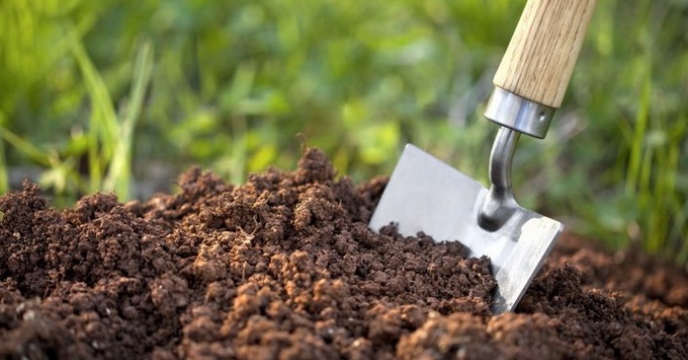 از ابتدای سالجاری تاکنون تعداد 31 مورد آزمایش خاک در باشگاه کشاورزان شرکت خدمات حمایتی کشاورزی استان همدان انجام پذیرفته است