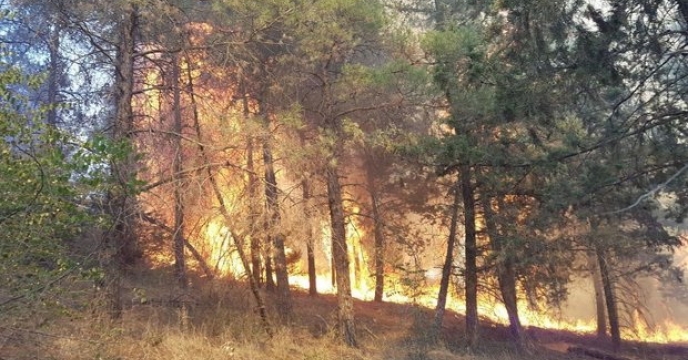 12 هکتار از مزارع کشاورزی ایلام در آتش سوخت