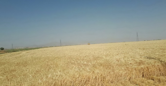  بازدید مزارع پیمانکاران طرف قرار داد استان مرکزی 