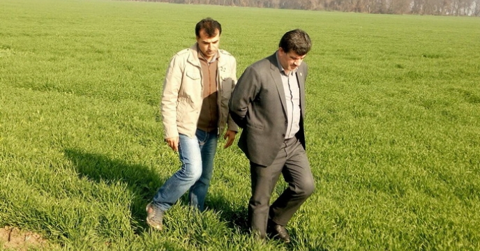 بازدید مدیر شرکت خدمات حمایتی کشاورزی استان گلستان از مزرعه نمونه الزهرا در خان ببین گلستان