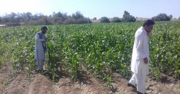بازدید از طرح های کشاورزی در استان سیستان و بلوچستان