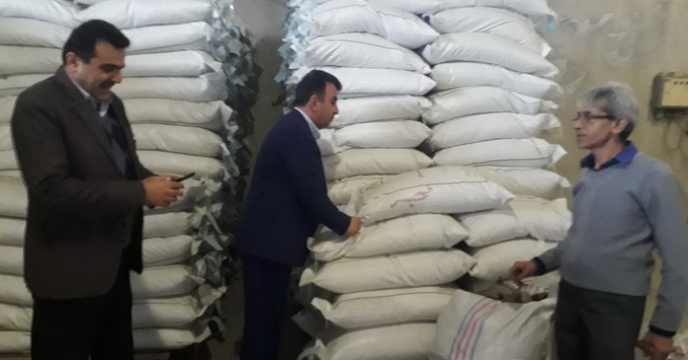 بذر شلتوک برنج در استان  مازندران آماده توزیع شد