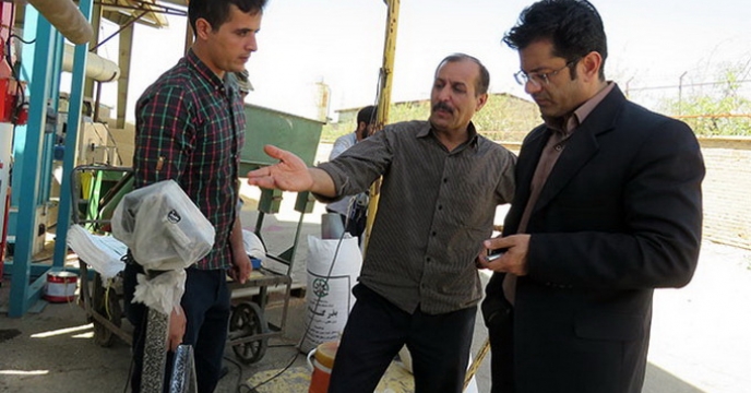 عملیات بوجاری بذر گندم خریداری شده در شرکت خدمات حمایتی کشاورزی استان همدان در حال انجام است