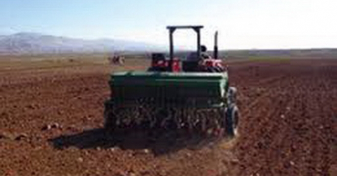 آغاز عملیات کاشت کلزا در مزارع شهرستان دهلران 