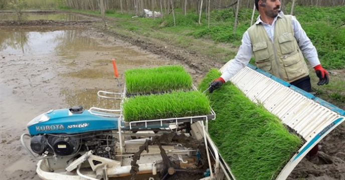  گسترش نشاء مکانیزه برنج در استان گیلان
