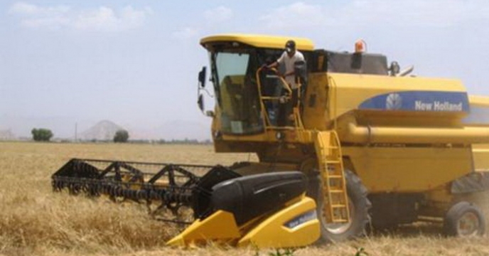 میزان تولید گندم درالبرز۲۱ درصد افزایش می یابد