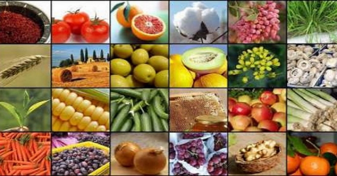 صادرات 100درصدی محصولات کشاورزی استان مازندران