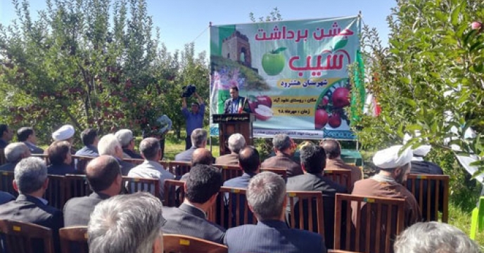 جشن برداشت محصول سيب در شهرستان هشترود استان آذربایجایجان شرقی برگزار شد