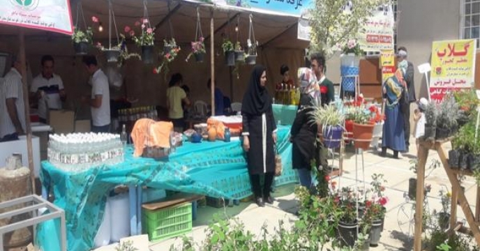جشنواره گیاهان دارویی در شهرستان نوشهر استان مازندران