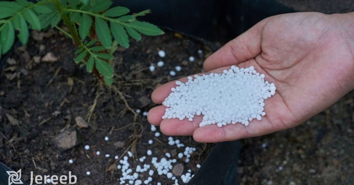 ابلاغ تامین انواع کود های کشاورزی از تولید کنندگان داخلی کشور به مدیران استان ارسال شد