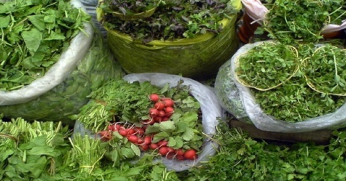 تامین کود برای 300 هکتار مزارع سبزی در ساری