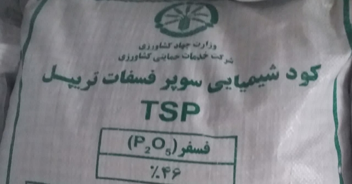 توزیع بیش از 4 هزار تن کودهای فسفاته در استان چهارمحال وبختیاری
