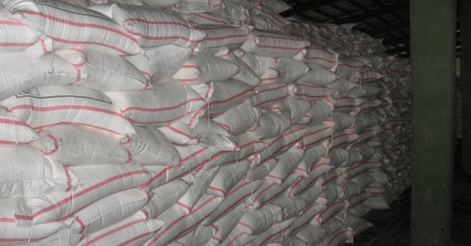 تامین و توزیع 467 تن کود اوره برای توسعه دانه های روغنی در گلوگاه
