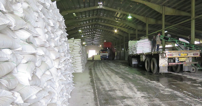 تأمین و توزیع  550 تن انواع کود شیمیایی توسط شرکت خدمات حمایتی کشاورزی استان همدان در شهرستان کبودرآهنگ تیرماه99