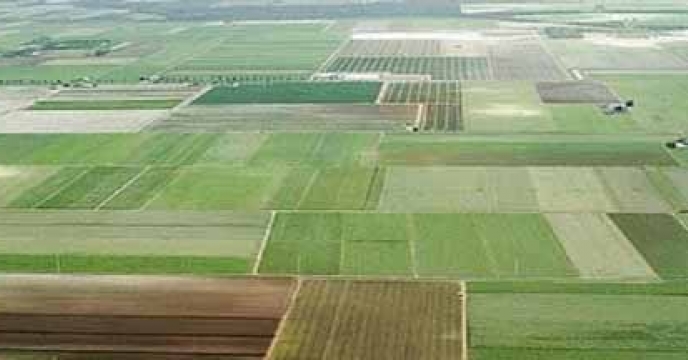 اجرای طرح کاداستر در اراضی کشاورزی استان اصفهان در حال انجام است.