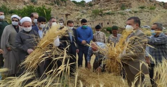 برگزاری جشن "خداقوت کشاورز" در استان خراسان شمالی