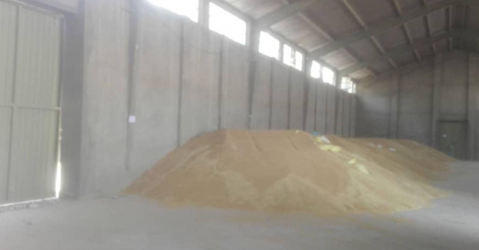 اولین خرید گندم بذری درکشور دراستان سیستان وبلوچستان