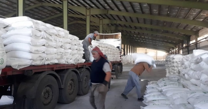 تامین و توزیع 181 تن انواع کودهای کشاورزی در شهرستان سوادکوه 