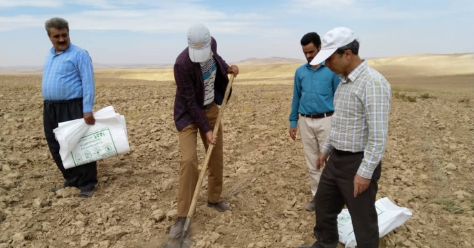 انجام  عملیات نمونه برداری خاک  و آب مزرعه منتخب  استان  کردستان  