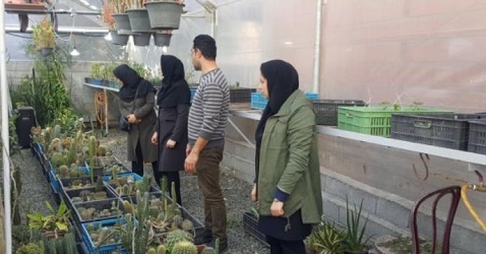 21هزار مترمربع فضای گلخانه ای در سوادکوه شمالی استان مازندران