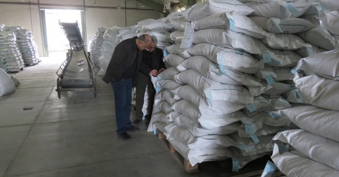 توزیع 51180 کیلوگرم بذر برنج ندا در مازندران