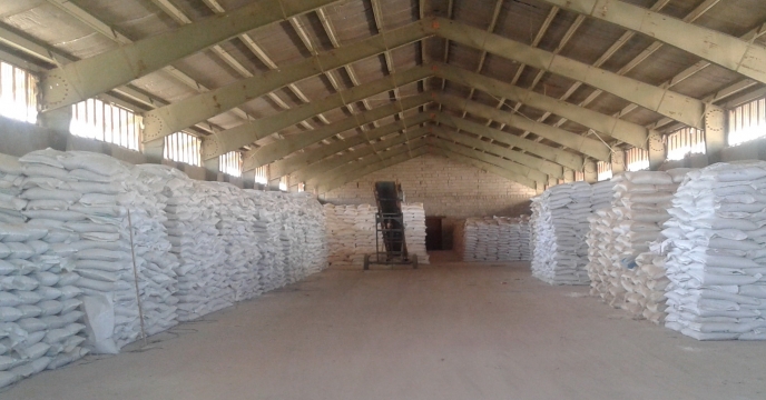 توزیع 2800 تن کود کشاورزی سولفات پتاسیم گرانوله توسط شرکت خدمات حمایتی کشاورزی