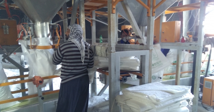 انعقاد قرارداد 200 هزار تنی کیسه گیری و صفافی انواع کودهای کشاورزی توسط شرکت خدمات حمایتی کشاورزی