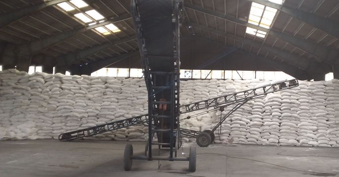 توزیع 9400 تن کود کشاورزی سولفات پتاسیم توسط شرکت خدمات حمایتی کشاورزی