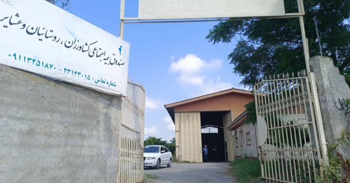 تامین و توزیع 2595 تن  کودهای  کشاورزی در شهرستان محمودآباد