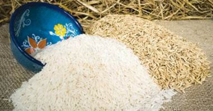 توزیع 6000 کیلوگرم بذ برنج ندا از طریق کارگزاری تعاونی اتفاق در نکا