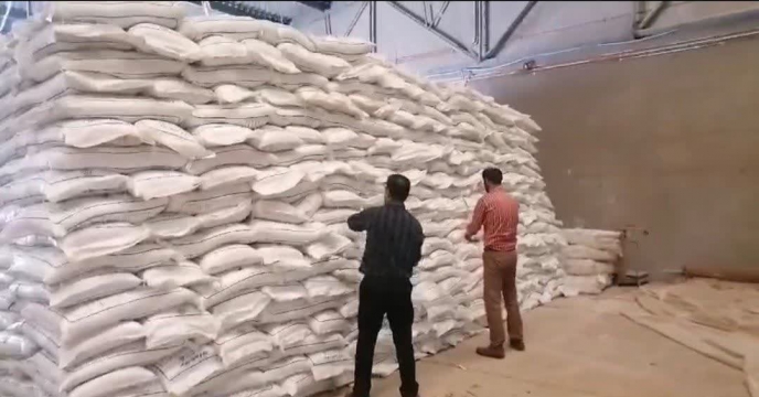 نمونه‌برداری از ۲۰۰ تن کود سولفات پتاسیم گرانوله در انبار مرکزی شرکت خدمات حمایتی کشاورزی استان کرمان