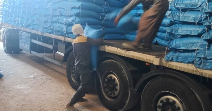 پایان عملیات حمل و تخلیه میزان 25 تن کود اوره در انبار کارگزار سرخون استان هرمزگان 