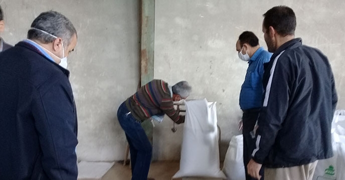 عملیات پایش توزیع کود شیمیایی در شرکت خدمات حمایتی کشاورزی استان همدان 