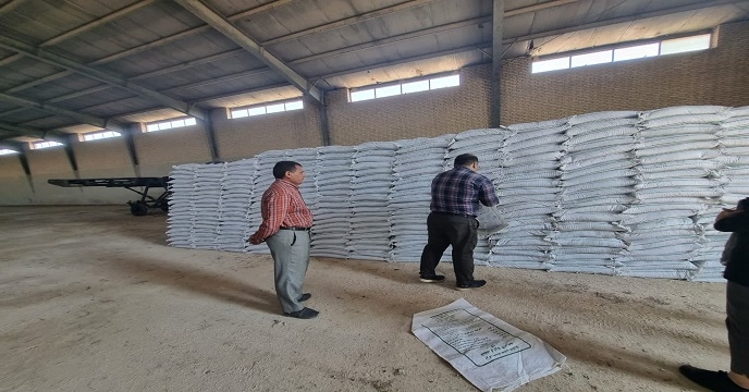 نمونه برداری از کود کشاورزی سوپر فسفات ساده در انبار سازمانی استان خوزستان