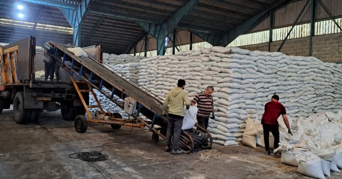 همتی: تأمین به موقع کود، کلید موفقیت کشاورزان گیلان در ۱۴۰۴ همتی: تأمین به موقع کود، کلید موفقیت کشاورزان گیلان در ۱۴۰۴