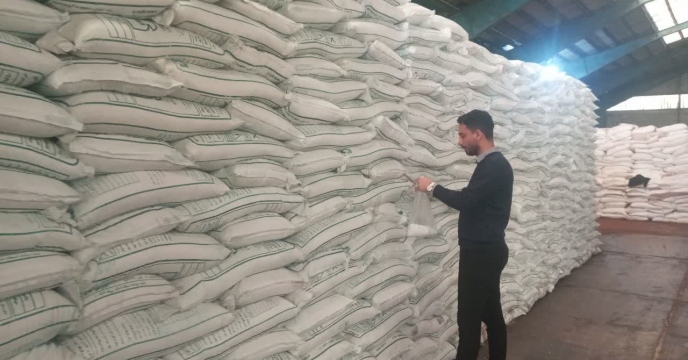 توزیع بیش از ۲۵۰۰ تن کود در شهرستان شفت تا پایان دی ۱۴۰۴